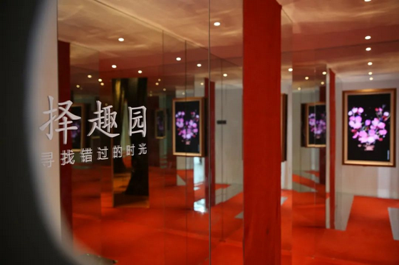 圖片 30